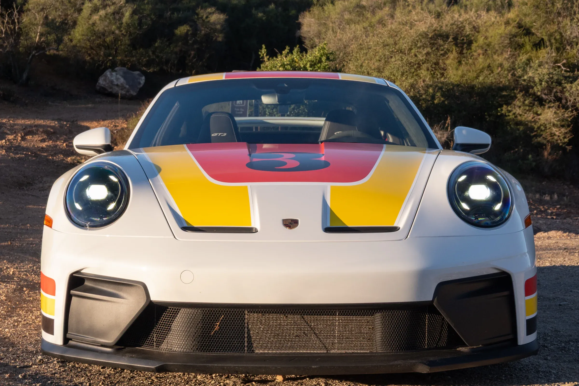 Porsche 911 GT3 RS Detail